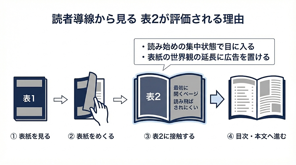 インフォグラフィック「読者導線から見る 表2が評価される理由」。雑誌広告において、読者が表紙をめくって最初に接触する「表2」が、なぜ読み飛ばされにくく効果的なのかを解説。読み始めの集中状態で目に入り、表紙の世界観の延長として広告を置けるというメリットを、読者の行動プロセス（①表紙を見る→②めくる→③表2に接触→④本文へ進む）に沿って図解している。